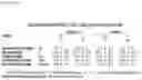 Fig. 19 - Compositions for treating heart disease by inhibiting the action of mAKAP-β