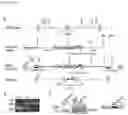 Fig. 28 - Compositions for treating heart disease by inhibiting the action of mAKAP-β