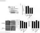 Fig. 33 - Compositions for treating heart disease by inhibiting the action of mAKAP-β