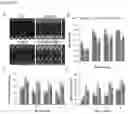 Fig. 37 - Compositions for treating heart disease by inhibiting the action of mAKAP-β