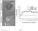Fig. 02 - Modulating Neuroinflammation