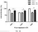 Fig. 05 - Modulating Neuroinflammation