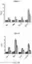 Fig. 16 - Modulating Neuroinflammation