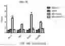 Fig. 17 - Modulating Neuroinflammation