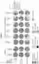Fig. 03 - ANTI-CD6 ANTIBODY COMPOSITIONS AND METHODS FOR TREATING LUPUS