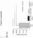 Fig. 08 - ANTI-CD6 ANTIBODY COMPOSITIONS AND METHODS FOR TREATING LUPUS