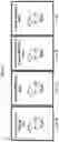 Fig. 13 - ANTI-CD6 ANTIBODY COMPOSITIONS AND METHODS FOR TREATING LUPUS