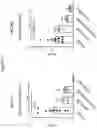 Fig. 16 - ANTI-CD6 ANTIBODY COMPOSITIONS AND METHODS FOR TREATING LUPUS
