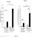 Fig. 03 - DIRECT REPROGRAMMING OF CARDIAC FIBROBLASTS INTO CARDIOMYOCYTES USING AN ENDOTHELIAL CELL TRANSDIFFERENTIATION STRATEGY