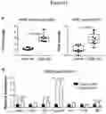 Fig. 12 - USE OF ACTIVATORS OF THE ARYL HYDROCARBON RECEPTOR FOR TREATING GLUTEN-INDUCED GASTROINTESTINAL DISEASES