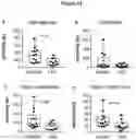 Fig. 14 - USE OF ACTIVATORS OF THE ARYL HYDROCARBON RECEPTOR FOR TREATING GLUTEN-INDUCED GASTROINTESTINAL DISEASES