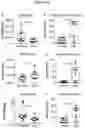 Fig. 15 - USE OF ACTIVATORS OF THE ARYL HYDROCARBON RECEPTOR FOR TREATING GLUTEN-INDUCED GASTROINTESTINAL DISEASES