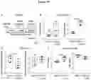 Fig. 20 - USE OF ACTIVATORS OF THE ARYL HYDROCARBON RECEPTOR FOR TREATING GLUTEN-INDUCED GASTROINTESTINAL DISEASES