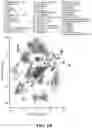 Fig. 03 - COMPOSITIONS AND METHODS FOR MODULATING CGRP SIGNALING TO REGULATE INTESTINAL INNATE LYMPHOID CELLS