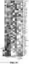 Fig. 15 - COMPOSITIONS AND METHODS FOR MODULATING CGRP SIGNALING TO REGULATE INTESTINAL INNATE LYMPHOID CELLS