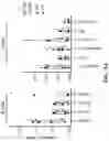 Fig. 31 - COMPOSITIONS AND METHODS FOR MODULATING CGRP SIGNALING TO REGULATE INTESTINAL INNATE LYMPHOID CELLS