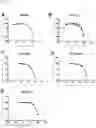 Fig. 05 - USE OF PEPTIDE DERIVED FROM H-REV107