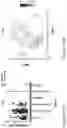 Fig. 14 - COMPOSITIONS AND METHODS FOR TREATING ACNE