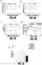 Fig. 03 - DUODENAL ADMINISTRATION OF BOTULINUM TOXIN