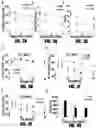Fig. 04 - DUODENAL ADMINISTRATION OF BOTULINUM TOXIN