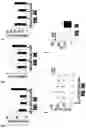 Fig. 05 - DUODENAL ADMINISTRATION OF BOTULINUM TOXIN