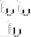 Fig. 06 - DUODENAL ADMINISTRATION OF BOTULINUM TOXIN