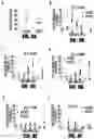 Fig. 09 - DUODENAL ADMINISTRATION OF BOTULINUM TOXIN