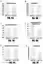Fig. 10 - DUODENAL ADMINISTRATION OF BOTULINUM TOXIN