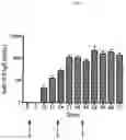 Fig. 02 - Method of conferring a protective immune response to Norovirus