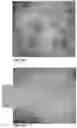 Fig. 15 - COMPOSITIONS, METHODS AND USES FOR THERMALLY STABLE HUMAN PAPILLOMAVIRUS FORMULATIONS