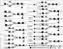 Fig. 01 - Immune composition comprising antigen and glycoengineered antibody thereof