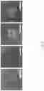 Fig. 07 - VIRUS-LIKE PARTICLES