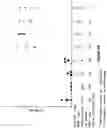 Fig. 14 - METHOD OF MODULATING MUCOSAL IMMUNOGENICITY