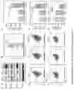 Fig. 05 - DRUG DELIVERY FOR COMBINATION OF EPIGENETIC MODULATION AND IMMUNE CHECKPOINT BLOCKADE