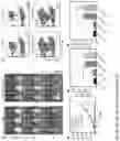 Fig. 08 - DRUG DELIVERY FOR COMBINATION OF EPIGENETIC MODULATION AND IMMUNE CHECKPOINT BLOCKADE