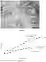 Fig. 09 - ACOUSTIC DRIVEN DRUG DELIVERY SYSTEMS