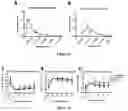 Fig. 34 - ACOUSTIC DRIVEN DRUG DELIVERY SYSTEMS