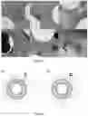 Fig. 36 - ACOUSTIC DRIVEN DRUG DELIVERY SYSTEMS