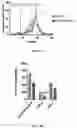 Fig. 10 - ORALLY ACTIVE SMALL MOLECULE INHIBITOR OF PAI-1