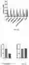 Fig. 11 - ORALLY ACTIVE SMALL MOLECULE INHIBITOR OF PAI-1