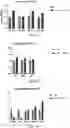 Fig. 12 - ORALLY ACTIVE SMALL MOLECULE INHIBITOR OF PAI-1