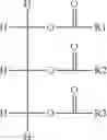 Fig. 02 - FORMULATION FOR ORAL DELIVERY OF PROTEINS, PEPTIDES AND SMALL MOLECULES WITH POOR PERMEABILITY