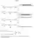 Fig. 02 - Carbohydrate conjugates as delivery agents for oligonucleotides