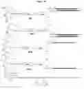Fig. 09 - Carbohydrate conjugates as delivery agents for oligonucleotides