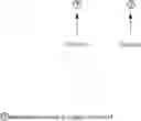 Fig. 109 - Carbohydrate conjugates as delivery agents for oligonucleotides