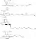 Fig. 113 - Carbohydrate conjugates as delivery agents for oligonucleotides