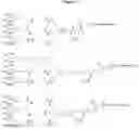 Fig. 12 - Carbohydrate conjugates as delivery agents for oligonucleotides