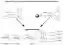 Fig. 17 - Carbohydrate conjugates as delivery agents for oligonucleotides