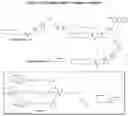 Fig. 19 - Carbohydrate conjugates as delivery agents for oligonucleotides