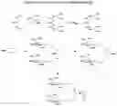 Fig. 22 - Carbohydrate conjugates as delivery agents for oligonucleotides